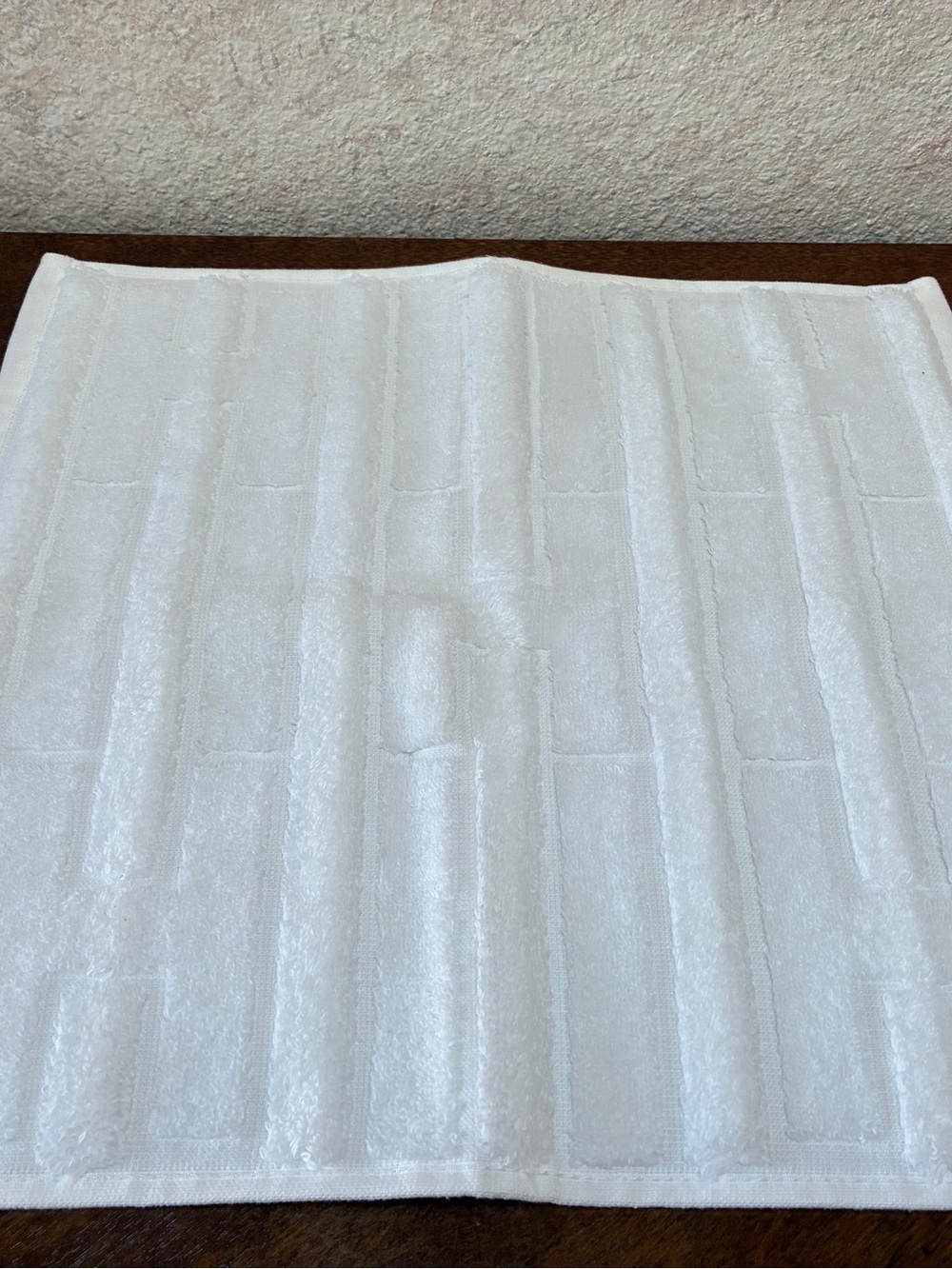 Hermes White Hands Towel NEW
